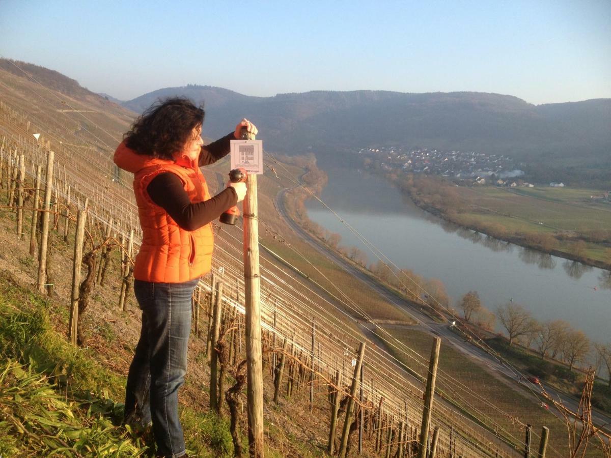 شقة Sybille Kuntz Weingut Gaestehaus ليزا المظهر الخارجي الصورة