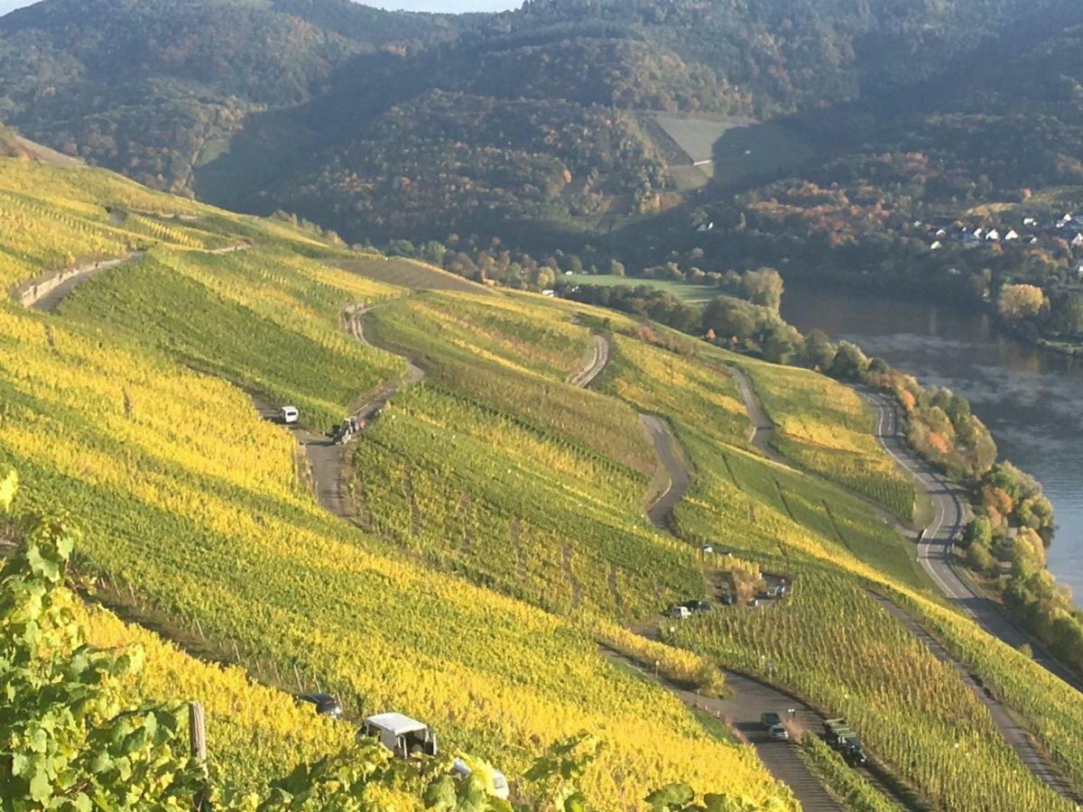 شقة Sybille Kuntz Weingut Gaestehaus ليزا المظهر الخارجي الصورة